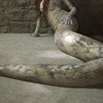 serpente