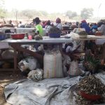 exposition-des-produits-agricoles