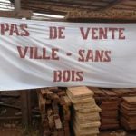 amis bois@Eric Ngaba