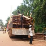 bois saisi@Eric Ngaba