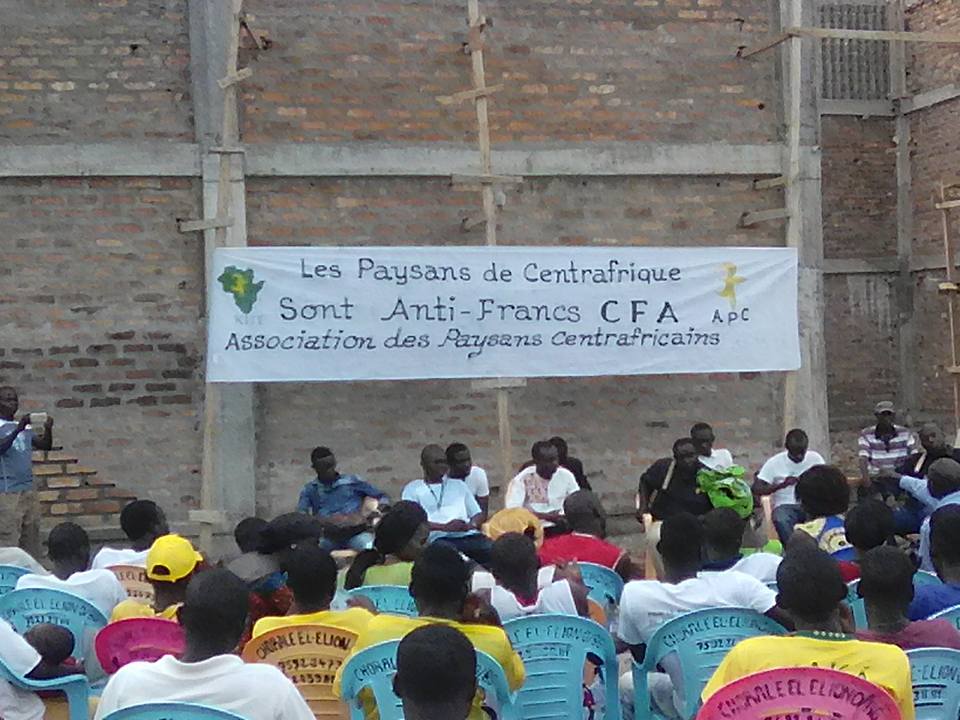 Rassemblement des Anti Francs FCFA à Bangui