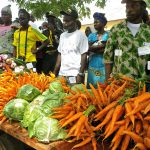 Foire-agricole-à-Bozoum