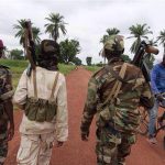 les éléments seleka