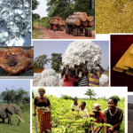 richesses_centrafricaines_1