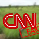 CNN