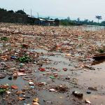 La-rive-de-lOubangui-remplie-par-des-immondices-