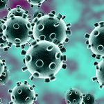 Les virus Coronavirus