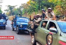 RCA: un homme présenté comme fou interpellé par les FACA sur la route de Boali faca-ndjoni-sango-centrafrique