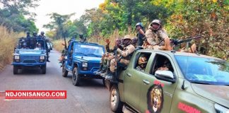 RCA: un homme présenté comme fou interpellé par les FACA sur la route de Boali faca-ndjoni-sango-centrafrique