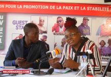 RCA: KF Consulting lance les activités culturelles pour la paix et la stabilité