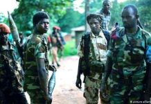 RCA: les bandits armés tentent de perturber le climat sécuritaire
