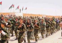 Quand l’enrôlement des enfants soldats par le Polisario constitue un danger pour l’Afrique : communiqué