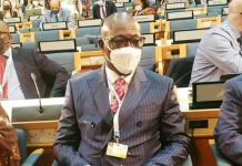 La RCA à la 5ème AG de l’ONU pour l’environnement à Nairobi