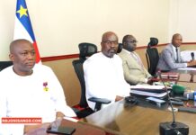 RCA: « La DNC est prête pour la campagne référendaire » Aurélien Simplice Zingas