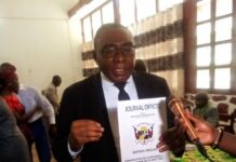 RCA: le gouvernement a présenté la version finale de la nouvelle constitution au journal officiel