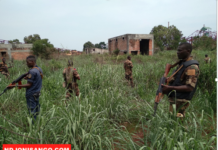 RCA: l’armée toujours sur ses gardes pour assurer la quiétude de la population