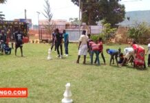 RCA: comprendre l’importance de la journée mondiale de l’éducation environnementale