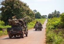 RCA: les FACA gagnent en autonomie et s’imposent dans le paysage sécuritaire