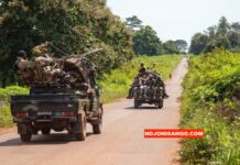 RCA: les FACA engagés pour la défense du territoire et la protection des populations