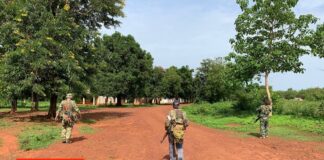 RCA: les FACA repoussent une attaque armée près de Zémio dans le Haut-Mbomou