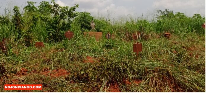 Une vue partielle de cimétière de Ndrès dans le 4è arrondissement de Bangui @crédit photo Marly Pala