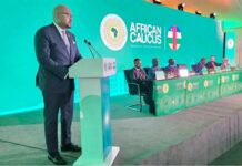 Caucus Africain 2025: la Centrafrique exprime sa vision du développement durable