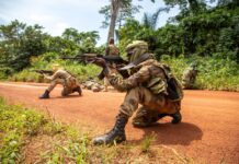 RCA: les FACA repoussent un groupe armé près de la frontière soudanaise