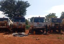 RCA: des casques bleus onusiens décrédibilisés après un nouvel incident humiliant