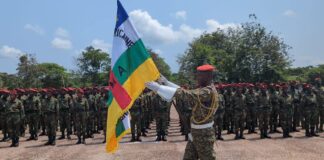 RCA: grâce aux appuis bilatéraux, les FACA relèvent progressivement les défis sécuritaires