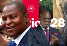 RCA: la diaspora centrafricaine mobilisée autour du PND 2024-2028