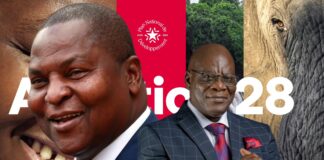 RCA: la diaspora centrafricaine mobilisée autour du PND 2024-2028