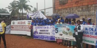 RCA: mobilisation au stade Sagbado en soutien à la candidature du président Touadéra