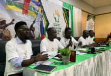 RCA: le Mouvement panafricain pour une Afrique Libre dénonce les activités du groupe des «12 apôtres»