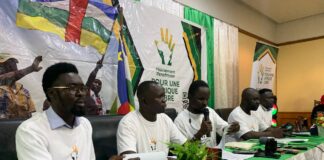 RCA: le Mouvement panafricain pour une Afrique Libre dénonce les activités du groupe des «12 apôtres»