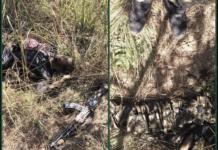 RCA: Une base rebelle détruite lors d’une opération conjointe FACA et instructeurs russes près de Sam-Ouandja