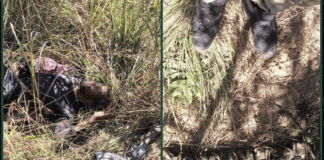 RCA: Une base rebelle détruite lors d’une opération conjointe FACA et instructeurs russes près de Sam-Ouandja