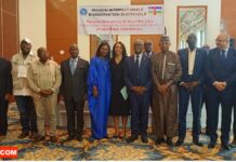 Elections en RCA: la mission d’observation électorale de la CEEAC apprécie le déroulement du scrutin