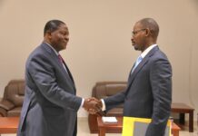 RCA: fructueux échanges du président Touadera avec le représentant résident du FMI