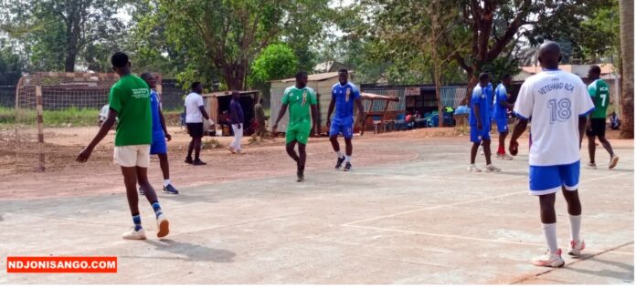 Les fauves handballeurs juniors centrafricains @crédit photo Marly Pala