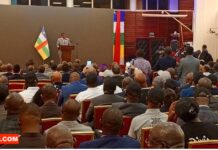 RCA: la plateforme numérique Dûnîa du ministère de l’économie est lancée