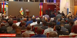 RCA: la plateforme numérique Dûnîa du ministère de l’économie est lancée