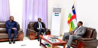 RCA: le groupe African Risk Capacity s’engage dans la gestion des catastrophes naturelles La délégation de l'African Risk Capacity avec le président Touadéra