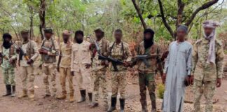 RCA: une inspection conjointe marque une avancée dans le désarmement des combattants de l’UPC