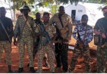 RCA: sécurité renforcée et actions conjointes à l’approche des législatives