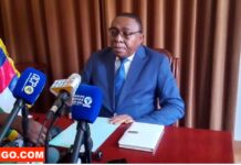 RCA: le gouvernement salue une investiture « réussie » du président Touadéra