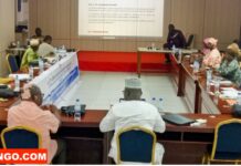 RCA: création de l’Observatoire national des minorités par la HABG et les entités sectorielles Observatoire national des minorités en Centrafrique @crédit photo Marly Pala