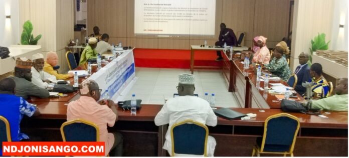 Observatoire national des minorités en Centrafrique @crédit photo Marly Pala Observatoire national des minorités en Centrafrique @crédit photo Marly Pala