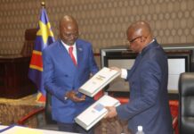 Sécurité transfrontalière : la RDC et la RCA renforcent leur coopération militaire