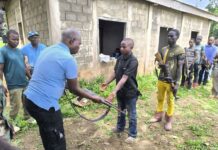RCA: désarmement des ex-combattants des 3R à Dongue-Douane dans le cadre du DDRR Désarmement des combattants des 3R