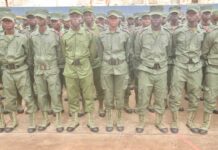 RCA: 1 800 soldats des FACA formés en Ouganda promus au grade de caporal